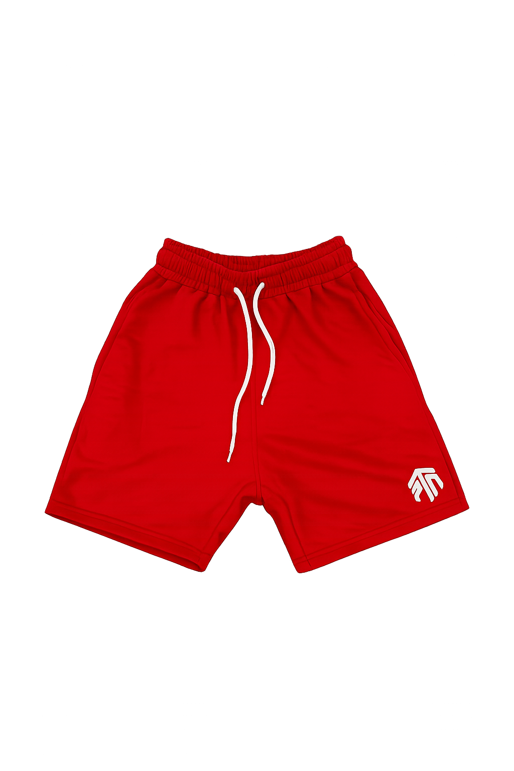 PTN Embroidered Shorts