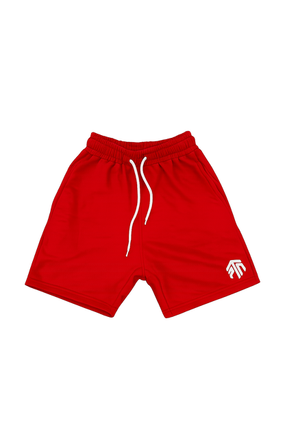 PTN Embroidered Shorts